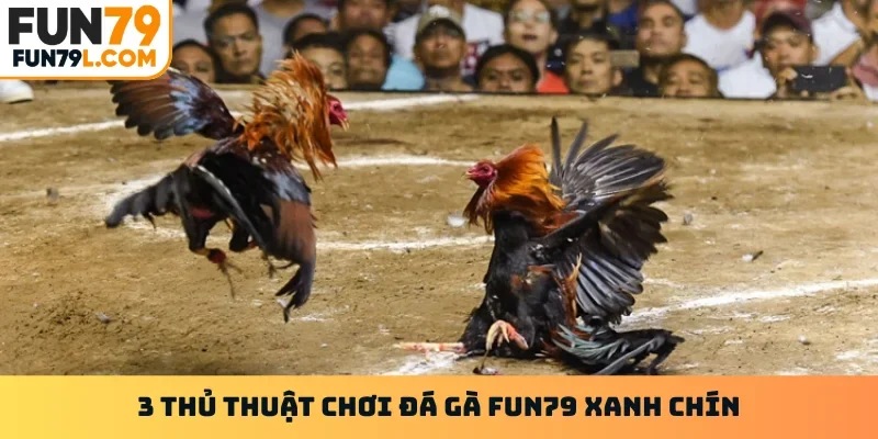 3 thủ thuật chơi đá gà FUN79 xanh chín